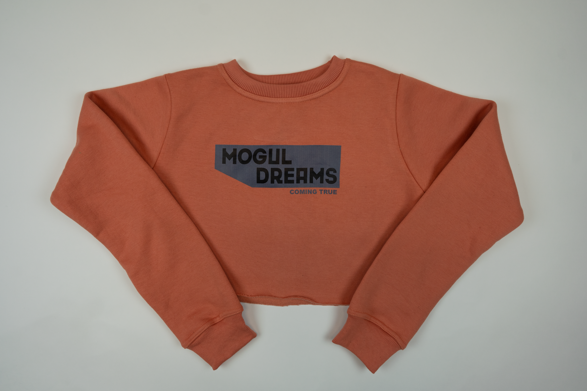 Mogul Banner Crop